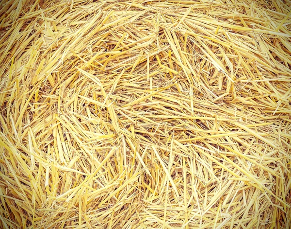 Abstract nature background made of dry straw bale.