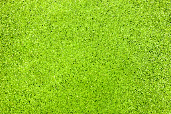 Green among aquatic plants texture background