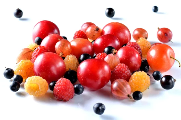 Berry Mix: raspberries, currants, gooseberries, plums and bluebe