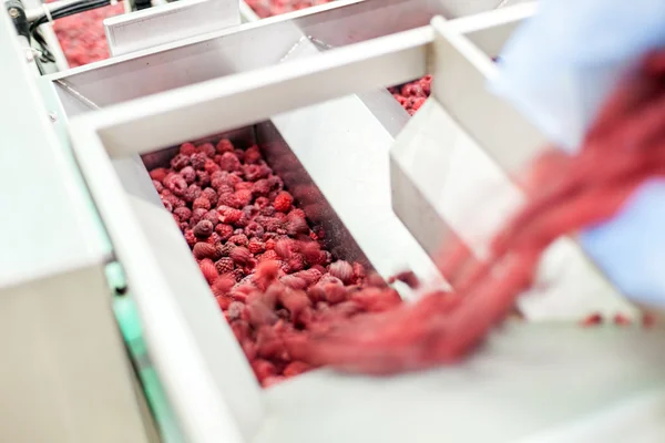 Frozen raspberry processing business