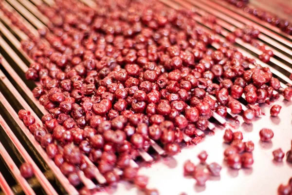 Sour cherries in processing machines