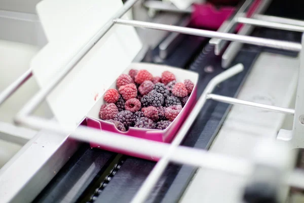 Frozen raspberry processing business