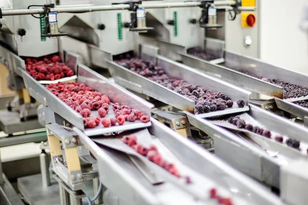 Frozen raspberry processing business