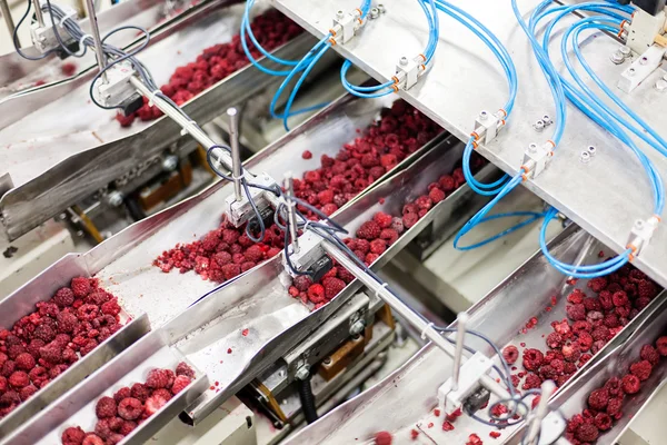 Frozen raspberry processing business