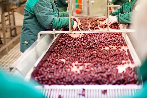 Sour cherries in processing machines