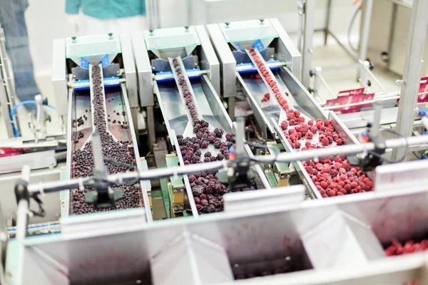 Frozen raspberry processing business