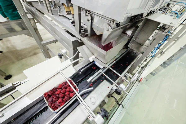 Frozen raspberry processing business