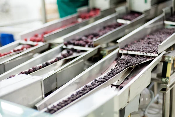 Frozen raspberry processing business