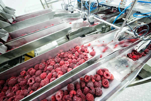 Frozen raspberry processing business