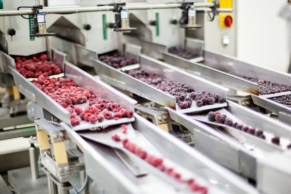 Frozen raspberry processing business