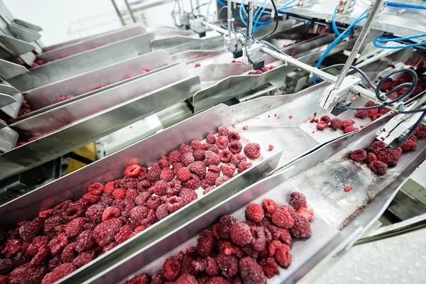 Frozen raspberry processing business