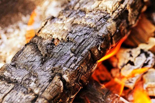 Wood fire ash