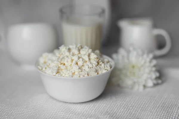 Homemade cottage cheese on white bowl