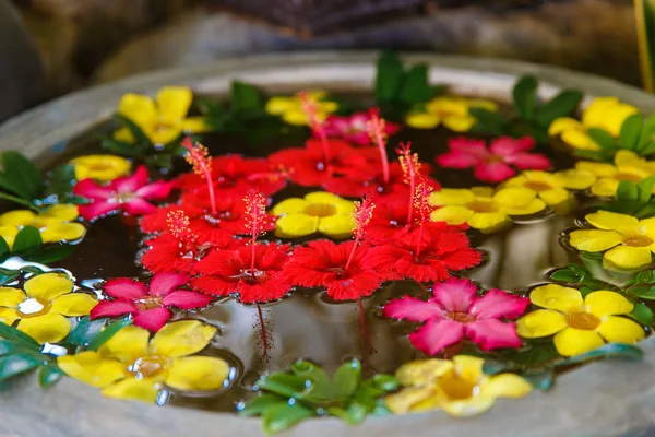 Decorative colorful exotic flowers in the water for Spa-salon