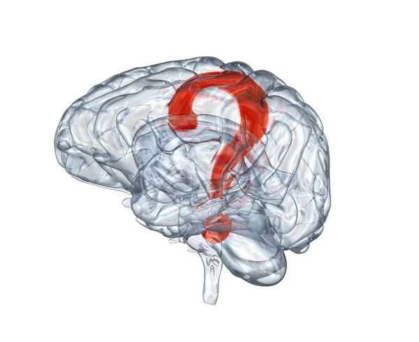 Glass human brain with question mark within
