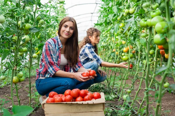 Young smiling agriculture woman worker in front and colleague in back