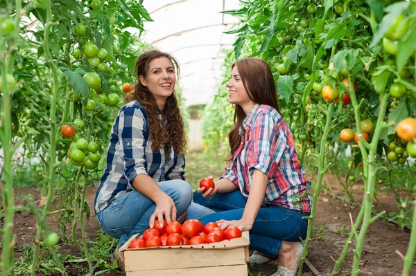 Young smiling agriculture woman worker in front and colleague in back