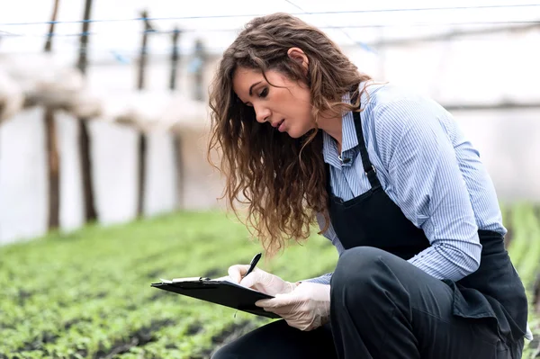 Biotechnology woman engineer with clipboard and pen, examining plants for disease
