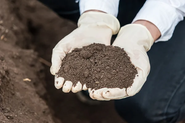 Researcher technician holding soil in hands