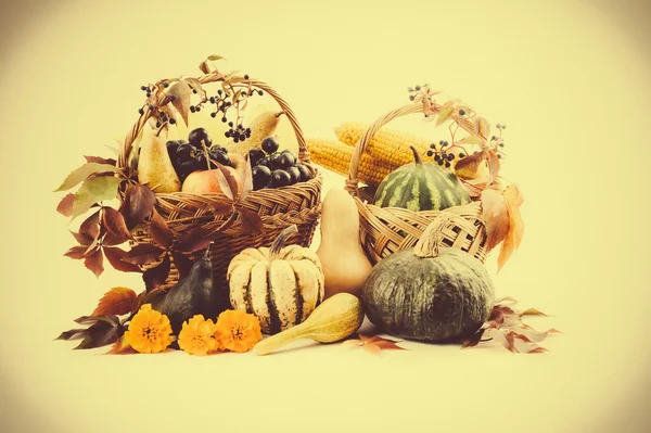 Autumn and Thanksgiving concept