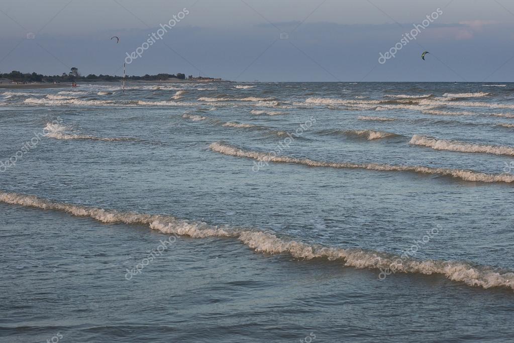 Ekologi havet