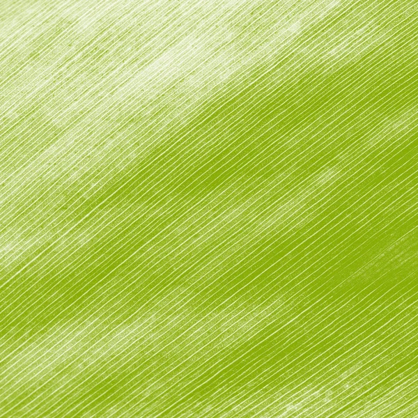 Abstract creative background of palm leaf pattern.