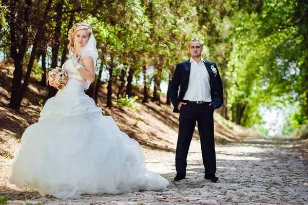 Bride and Groom at wedding Day walking Outdoors on spring nature. Bridal couple, Happy Newlywed woman and man embracing in green park. Loving wedding couple outdoor.