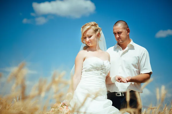 Young beautiful wedding couple hugging in a field with grass eared.