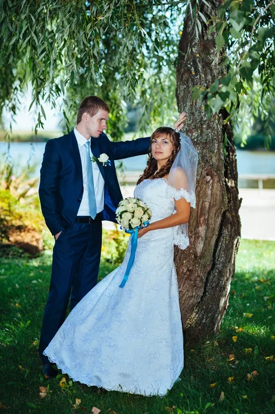 Bride and Groom at wedding Day walking Outdoors on spring nature. Bridal couple, Happy Newlywed couple embracing in green park.