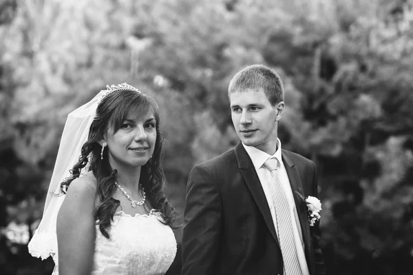 Bride and Groom at wedding Day walking Outdoors on spring nature. Bridal couple, Happy Newlywed couple embracing in green park.