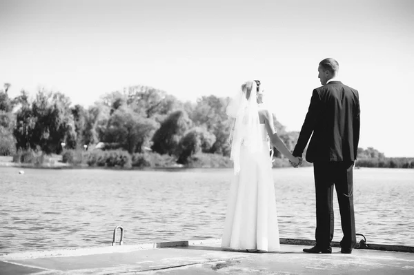 A wedding by the sea. Honeymoon. The bride and groom hugging on the shore of Lake. groom and bride hugging on a green lake. Groom and Bride in a park. wedding dress. Bridal wedding bouquet of flowers.