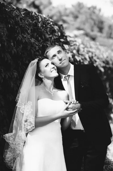 Bride and Groom at wedding Day walking Outdoors on spring nature. Bridal couple, Happy Newlywed woman and man embracing in green park. Loving wedding couple outdoor.