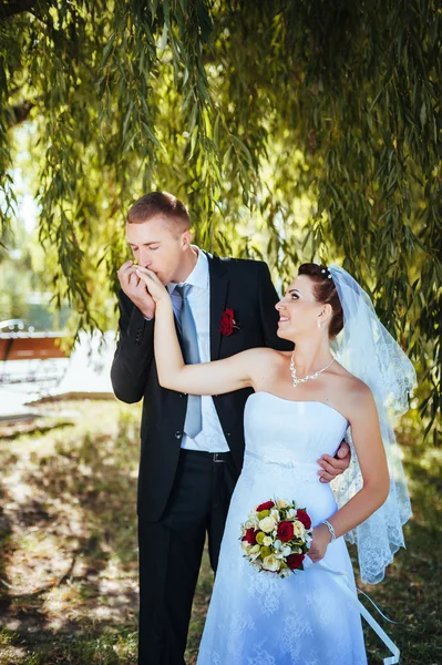 Bride and Groom at wedding Day walking Outdoors on spring nature. Bridal couple, Happy Newlywed woman and man embracing in green park. Loving wedding couple outdoor.