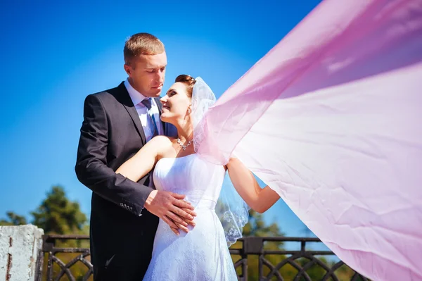 Newly married couple.wind lifting long white bridal veil. bride and groom with the pink shawl.