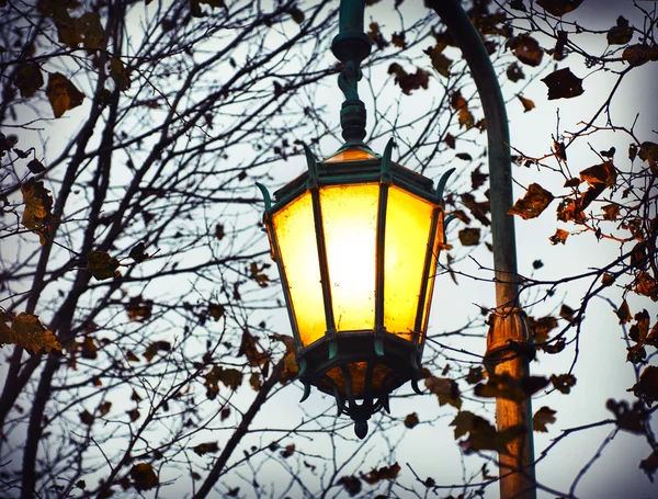 Vintage street lantern
