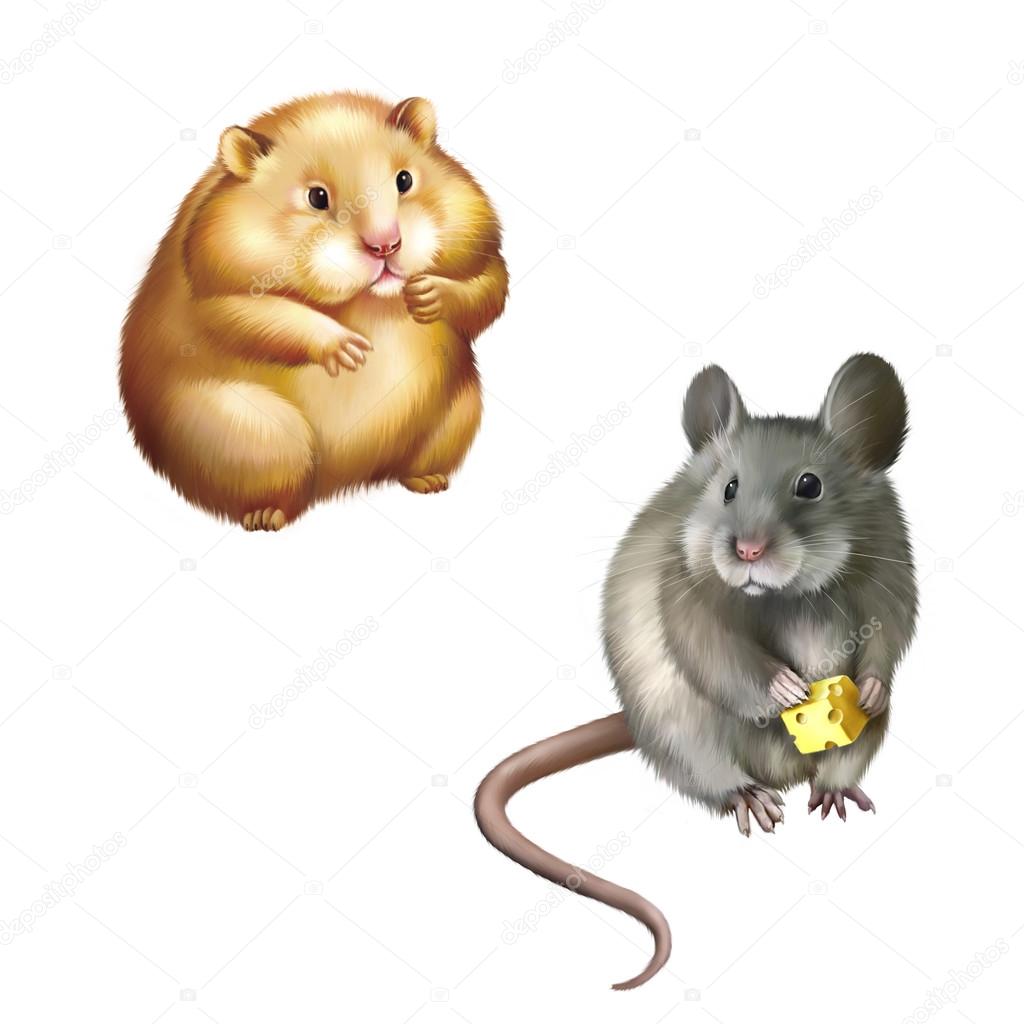 Redhamster Redhamster