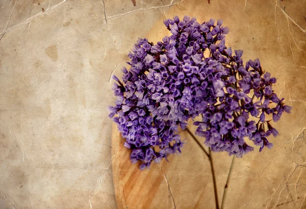 Lavender flowers over wooden background