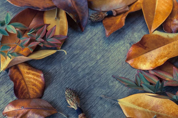 Autumn background with leaves