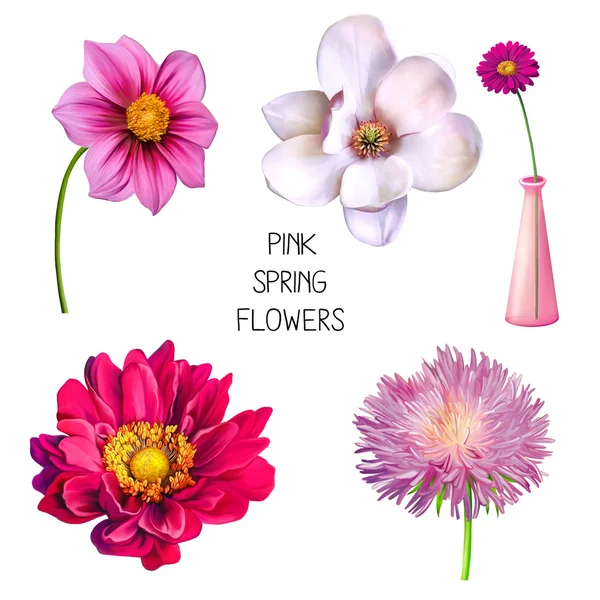 Illustration of pink spring flowers