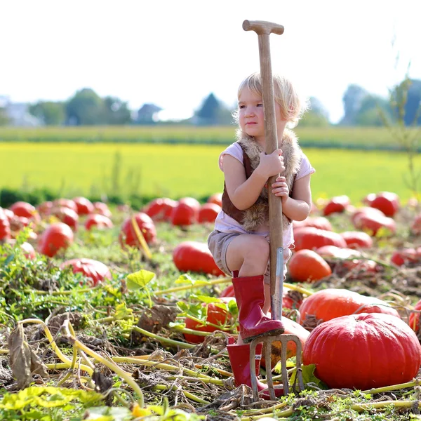 Toddler girl playing at pumpkin patch