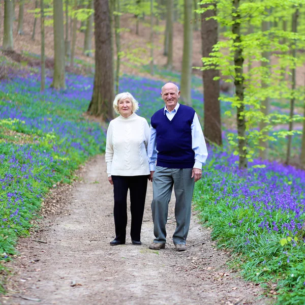 Loving senior couple walking in beautiful forest