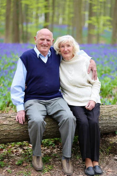 Happy seniors hiking in the forest