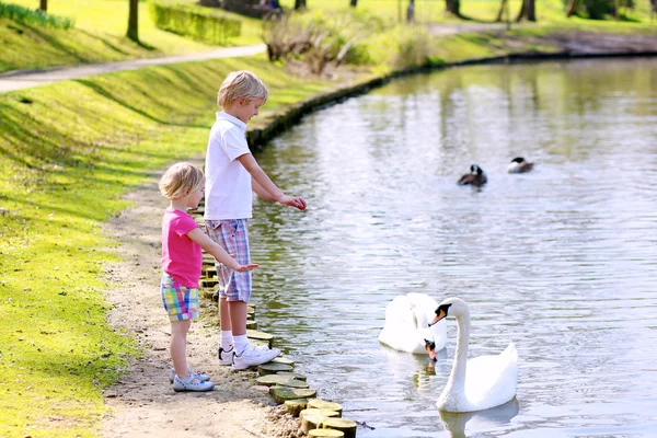 Brother and sister feeding birds in the pond