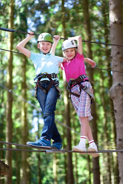 Two active school boys climbing in adventure park