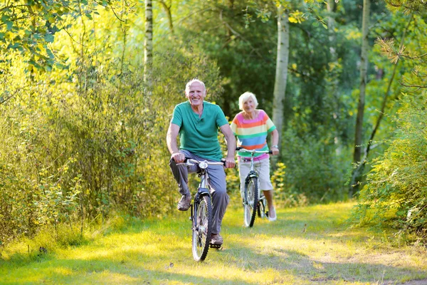 Active seniors couple riding bikes in the forest