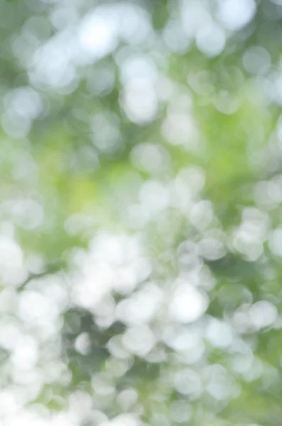 Natural Bokeh Blur. Abstract Nature Background. The Element of Design.