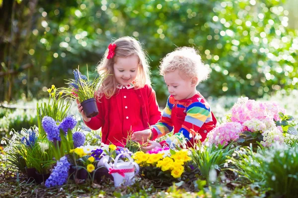Kids planting flowers in blooming garden