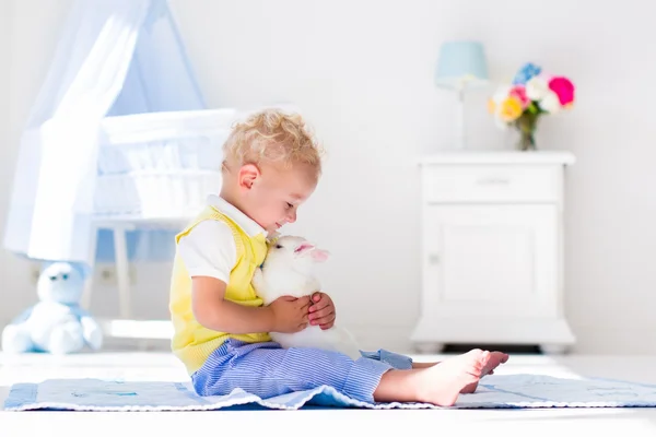 Little boy playing with rabbit pet