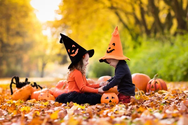 Kids trick or treat on Halloween