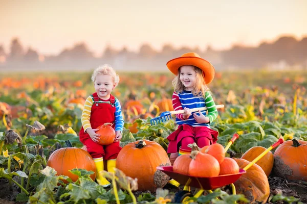 Kids picking pumpkins on Halloween pumpkin patch